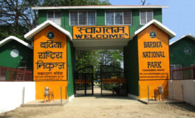 Bardiya National Park