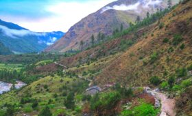 Gorilla Trek in Nepal